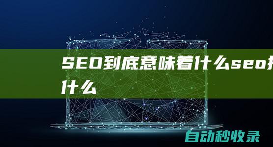 SEO到底意味着什么 (seo指的什么)