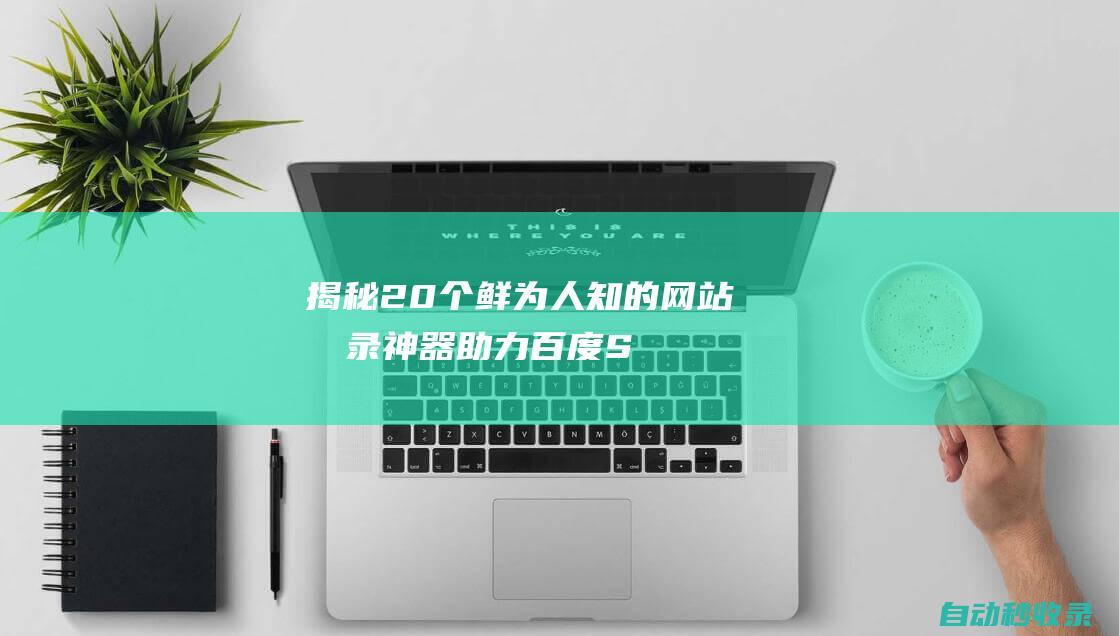 揭秘20个鲜为人知的网站收录神器 - 助力百度SEO tennis (鲜的食物有哪些)