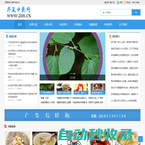 华夏中医网—www.zoy.cn