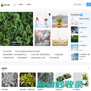 多肉大本营_多肉植物_多肉植物第一全媒体_中国领先的多肉植物论坛