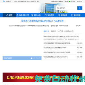 广西柳州市行政审批局网站