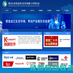 黑龙江省信息技术应用创新工作委员会