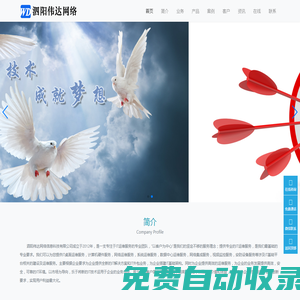 泗阳伟达网络信息科技有限公司-专注于IT运维服务的专业团队