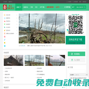 盆景艺术在线_盆景爱好者交易交流造型养护制作设计 -  cnpenjing.com