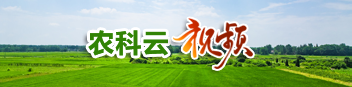安徽农机化信息网