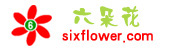 六朵花鲜花网-网上花店订花-鲜花速递-提供送花上门服务