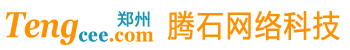 郑州腾石网络科技有限公司--专注于网站建设、网站推广