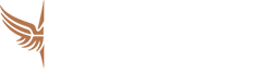 元璟资本 Vision Plus Capital